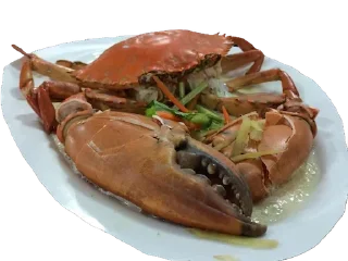 🍤