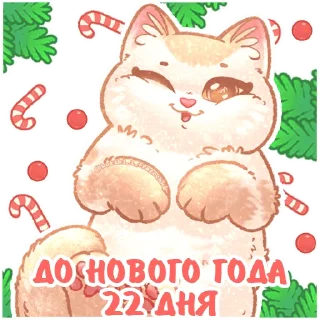 2⃣