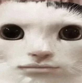 😐