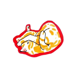 💤