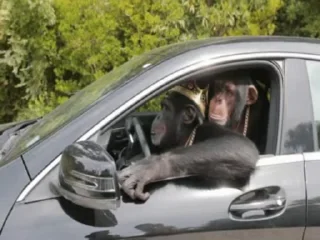 🚗