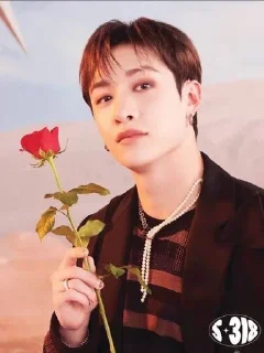 🌹