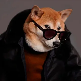 😎