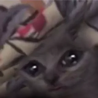😟