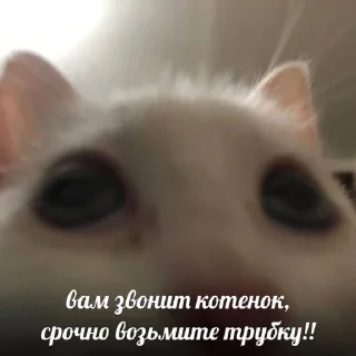 📞