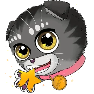 🌟