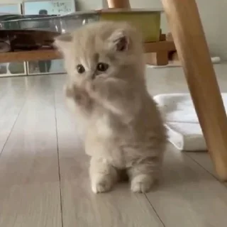🥰