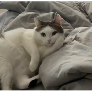 😌