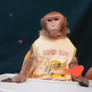 🥹