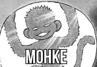 🐵