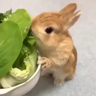 🥛
