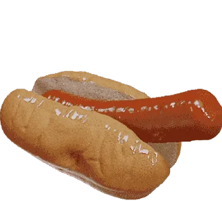 🌭