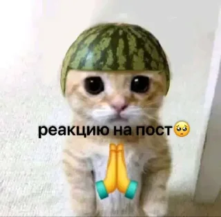 🙏
