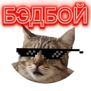 💣