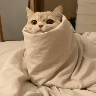 😄