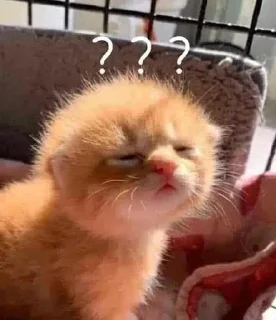 🤔