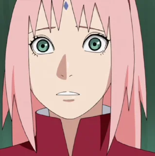🌸