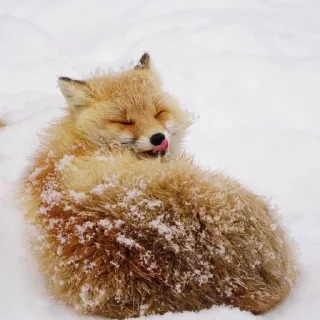 😝