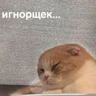 😑