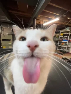 😛