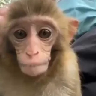👂