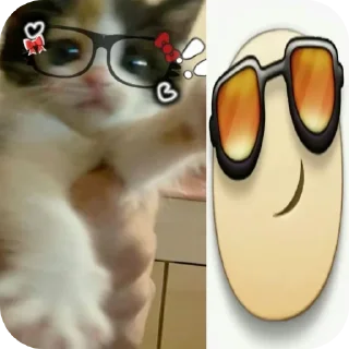 👓