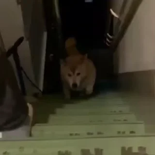 🏃‍♂