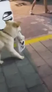 🙂