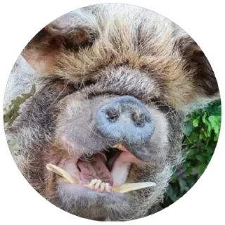 😀