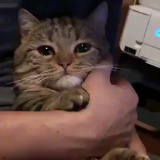 😞