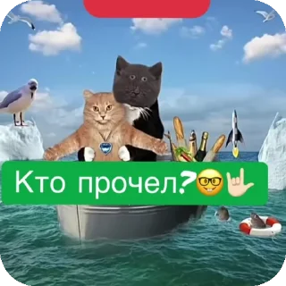 👍