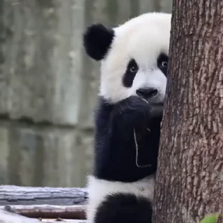 👀