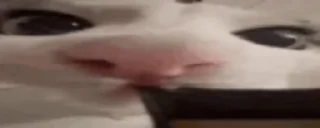 😋