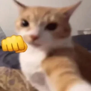 👊