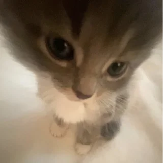 👁