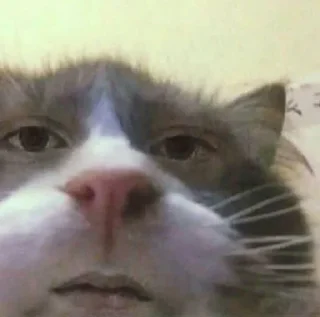 😐