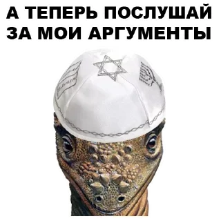 ✋️