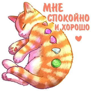 😸