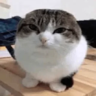 😤