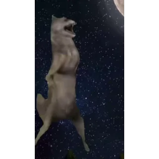 🐺