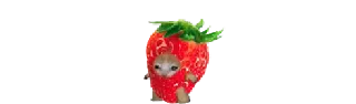 🍓