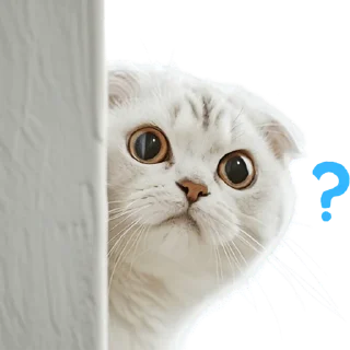 🤨