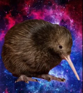 🌀