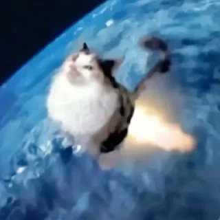 🤩