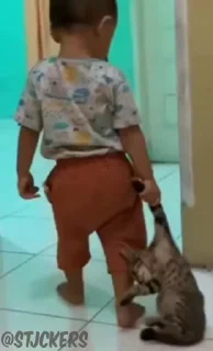 😪