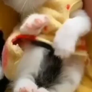 🥰