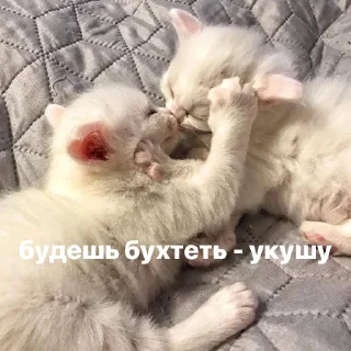 😱