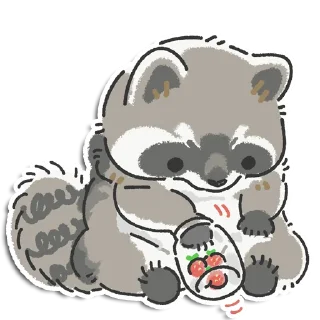 🦝