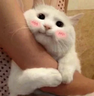 🥰