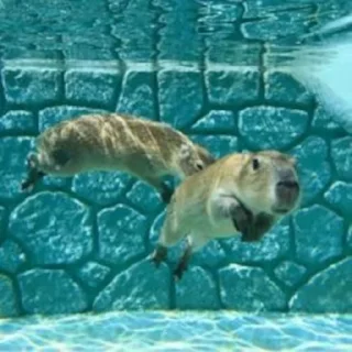 💧